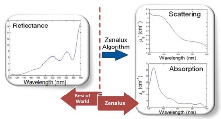 Zenalux Comparison